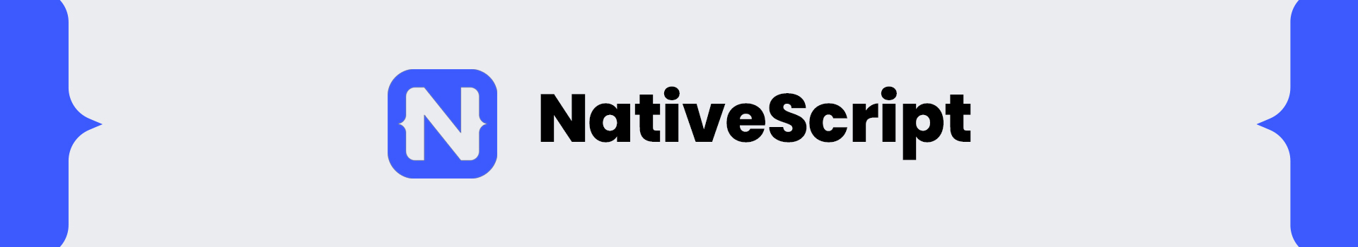 Native Script Logo